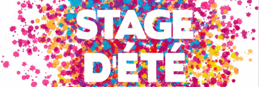 Idées Stages été 2026