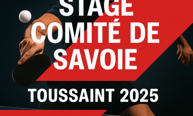 Infos Stage Comité de la Toussaint
