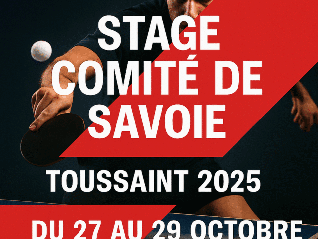 Infos Stage Comité de la Toussaint