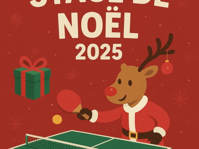 Infos Stage de Noël D73